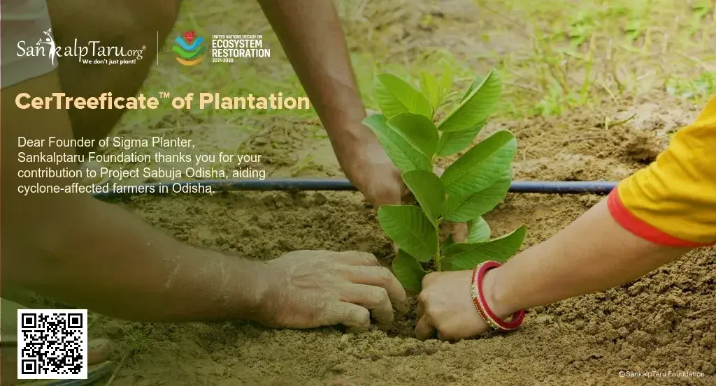 Plantation Certificate